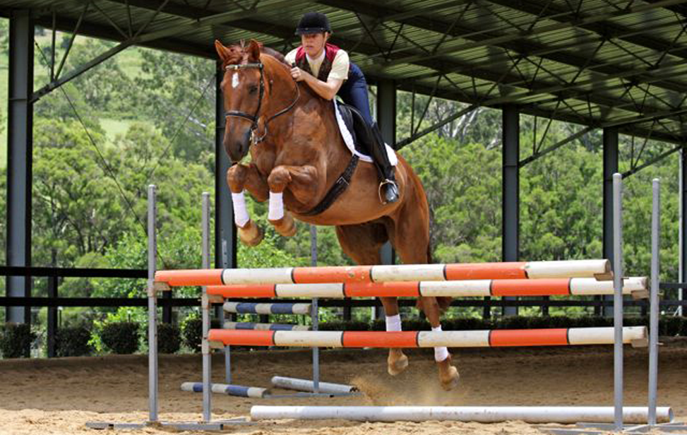 Linda Treur Horse training 3